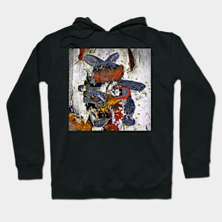 Graffiti #35a Hoodie